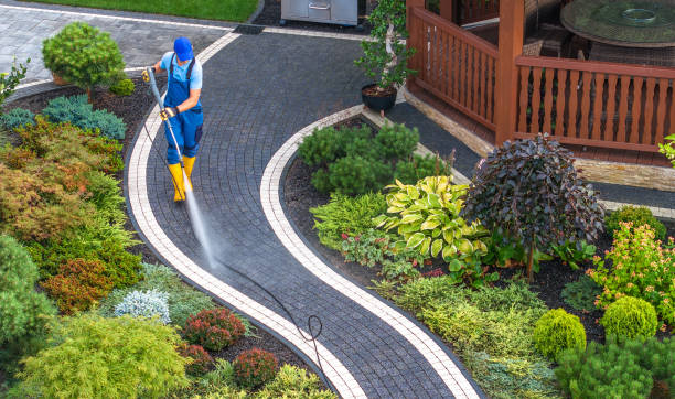Best Power Washing Near Me  in Stockdale, TX